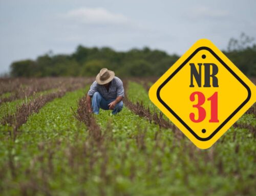 NR 31 – Segurança E Saúde No Trabalho Na Agricultura, Pecuária, Silvicultura, Exploração Florestal E Aquicultura